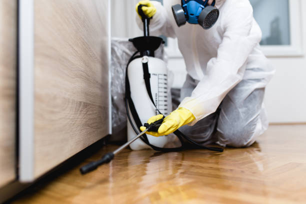 Best Pest Prevention Services  in Maryland Heights, MO