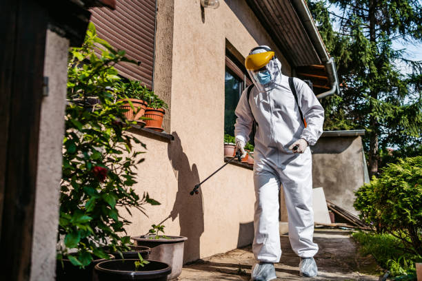 Best Cockroach Control Services  in Maryland Heights, MO