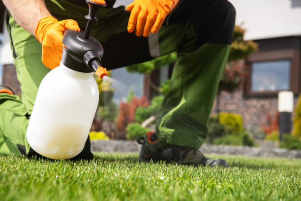 Bird Control in Maryland Heights, MO