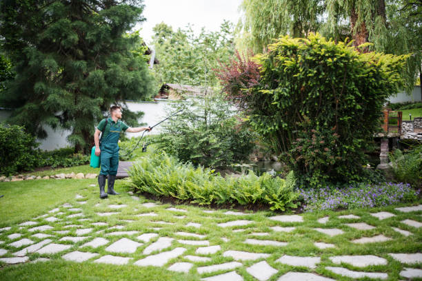 Pest Prevention Services in Maryland Heights, MO
