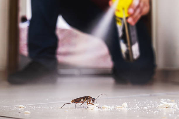 Pest Control for Restaurants in Maryland Heights, MO