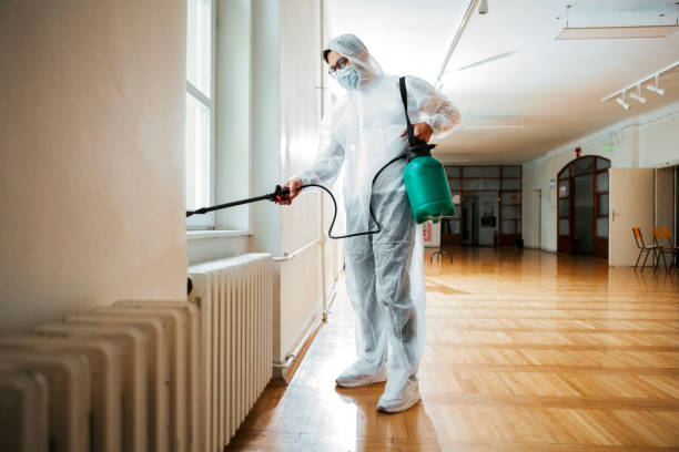 Best Emergency Pest Control  in Maryland Heights, MO