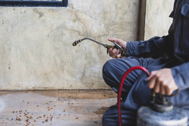 Best Exterminator Services  in Maryland Heights, MO